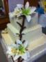 Cakes, Toppers, & Stands in New Braunfels, TX: Sweetcreations