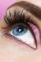 Hair, Makeup, & Spas in Toms River, NJ: Eye Get Lashed