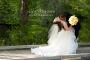 Photographers in Lynnfield, MA: Lisa Mancuso Photography