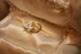 Decorations & Rentals in Janesville, WI: Lampe Creative Impressions