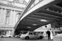 Photographers in New York:  Skye D Photography