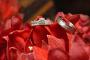 Photographers in Jupiter, FL: Amberphotographyworld
