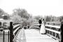 Wedding Planners / Consultants in Greenville, SC: Dreams Come True Weddings and Events