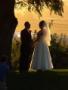 DJ's Bands & Musicians in Kuna, ID: Confetti Productions