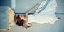 Photographers in Jupiter, FL: Kat Braman Photography