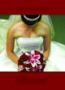 Invitations & Stationery in Glen Ellyn, IL: SendOutCards