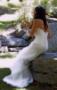 DJ's Bands & Musicians: Denim & Diamond Entertainment Services LLC