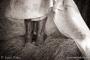 Photographers in Lowell, AR: Sarah Shotts Storytelling