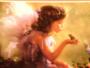 Wedding Planners / Consultants in Phoenix, AZ: Dreamers Event Planners