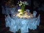Decorations & Rentals in Dunedin, FL: Beyond the Basics Events