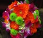 Florists & Flowers in Rochester, NY: Flower Power Decor