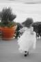Photographers in Grand Island, NY: Karen Koslowski Photography