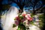 Photographers in Nebraska: Vaughan Nelson Photography