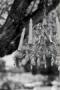 Wedding Planners / Consultants in Tracy, CA: The Test Of Time Weddings