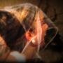 Videographers in Oklahoma City, OK: Glorious Day Films