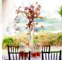 Wedding Planners / Consultants in San Diego, CA: Le Soiree Event Design