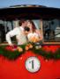 Transportation & Limos in Hendersonville, NC: The Trolley Company/Elite Limousine