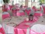 Decorations & Rentals in Westland, MI: Diva Girl Designs