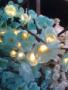 Florists & Flowers in Nashville, TN: Bella Luna Flowers