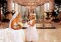 Wedding Venues in Schaumburg, IL: Renaissance Schaumburg Convention Center Hotel