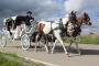Transportation & Limos in Corydon, IA: 3B Carriages.LLC 