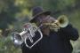 DJ's Bands & Musicians in Milwaukee, WI: Don Lewis Jazz and Blues Band