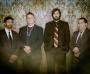 DJ's Bands & Musicians in Greensboro, NC: Walrus