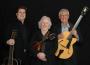 DJ's Bands & Musicians in Mason, MI: Stringtown Trio