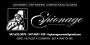 DJ's Bands & Musicians in Brooklyn, NY: ESPIONAGE ENT INC