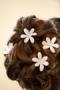 Hair, Makeup, & Spas in Ashburn, VA: Jewel Hair Design