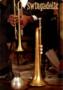 DJ's Bands & Musicians in Hoboken, NJ: Swingadelic!