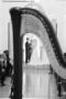 DJ's Bands & Musicians in Atlanta, GA: Dania Mcdonald Lane, Harpist