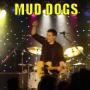 DJ's Bands & Musicians in Des Moines, IA: Mud Dogs #1 Top Rated Variety Band In The Midwest!