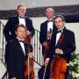 DJ's Bands & Musicians in New York, NY: Art-Strings Ensembles
