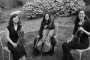 DJ's Bands & Musicians in Amherst, MA: The Amherst String Ensemble