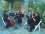 DJ's Bands & Musicians in Fredericksburg, VA: Kingswood String Quartet