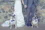 Photographers in Oak Harbor, WA: J Hodges Photography