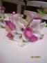 Wedding Planners / Consultants in Campbell, CA: My Elegant Event