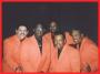 DJ's Bands & Musicians in North Plainfield, NJ: The Sheps