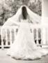 Wedding Planners / Consultants in Murrells Inlet, SC: South Carolina Memories