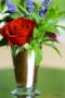 Florists & Flowers in New Boston, NH: Ideas in Bloom