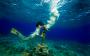 Photographers in Miami, FL: Häring Photography
