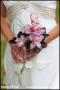 Photographers in Aurora, IL: Magnifica Photography