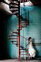 Photographers in Bentonville, AR: Miles Witt Boyer Photography