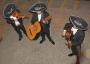 DJ's Bands & Musicians in Las Vegas, NV: Mariachi Patron