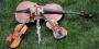 DJ's Bands & Musicians in Kansas City, MO: Forte Quartet