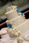 Cakes, Toppers, & Stands in Williamson, NY: Erindipity's Cake Studio