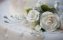 Wedding Planners / Consultants in Arizona: MoonRose Weddings