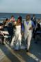 Wedding Planners / Consultants in Brunswick, GA: Events By Aliya