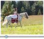 Photographers in Wenatchee, WA: Lynette Smith Photography
